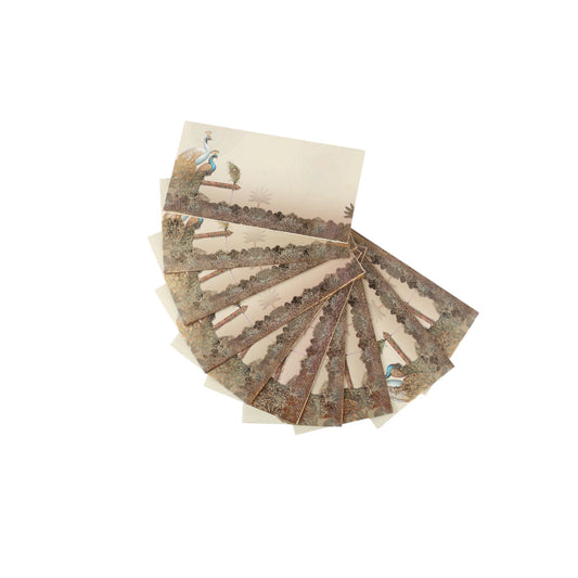 Peacocks along with a feather Envelope Set of 10