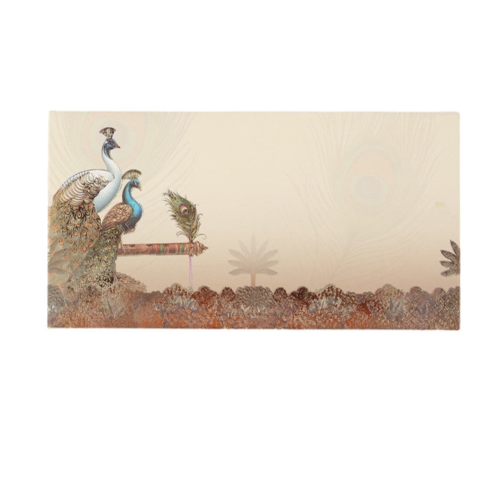 Peacocks along with a feather Envelope Set of 10