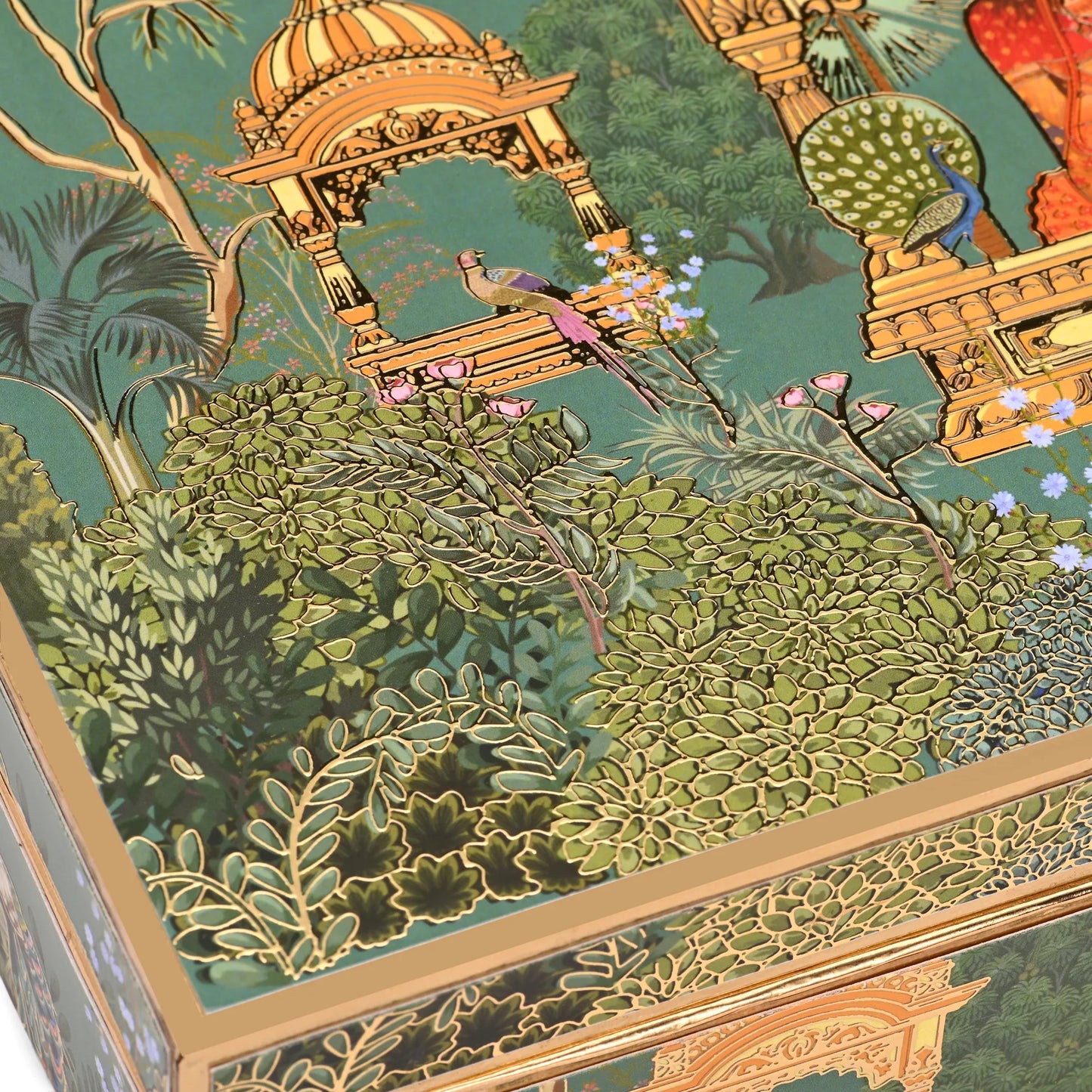 Parrot Garden